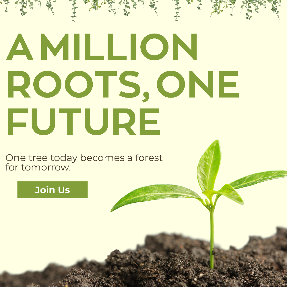 🌳 Growing a Greener Future – A Tree With Every Order - Navantha organic