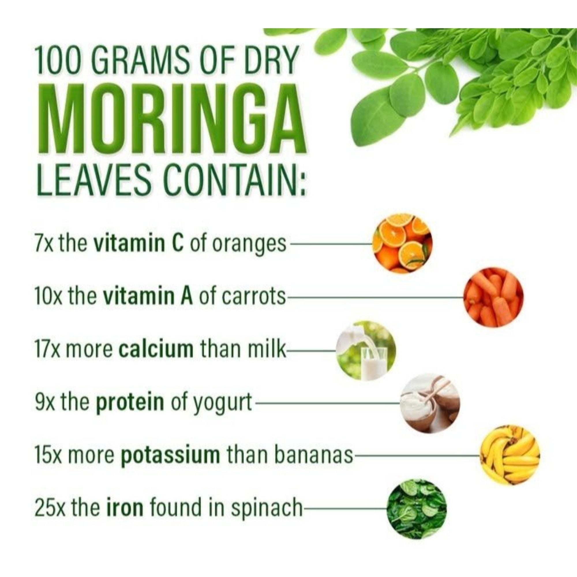 Green Zest - Moringa Powder