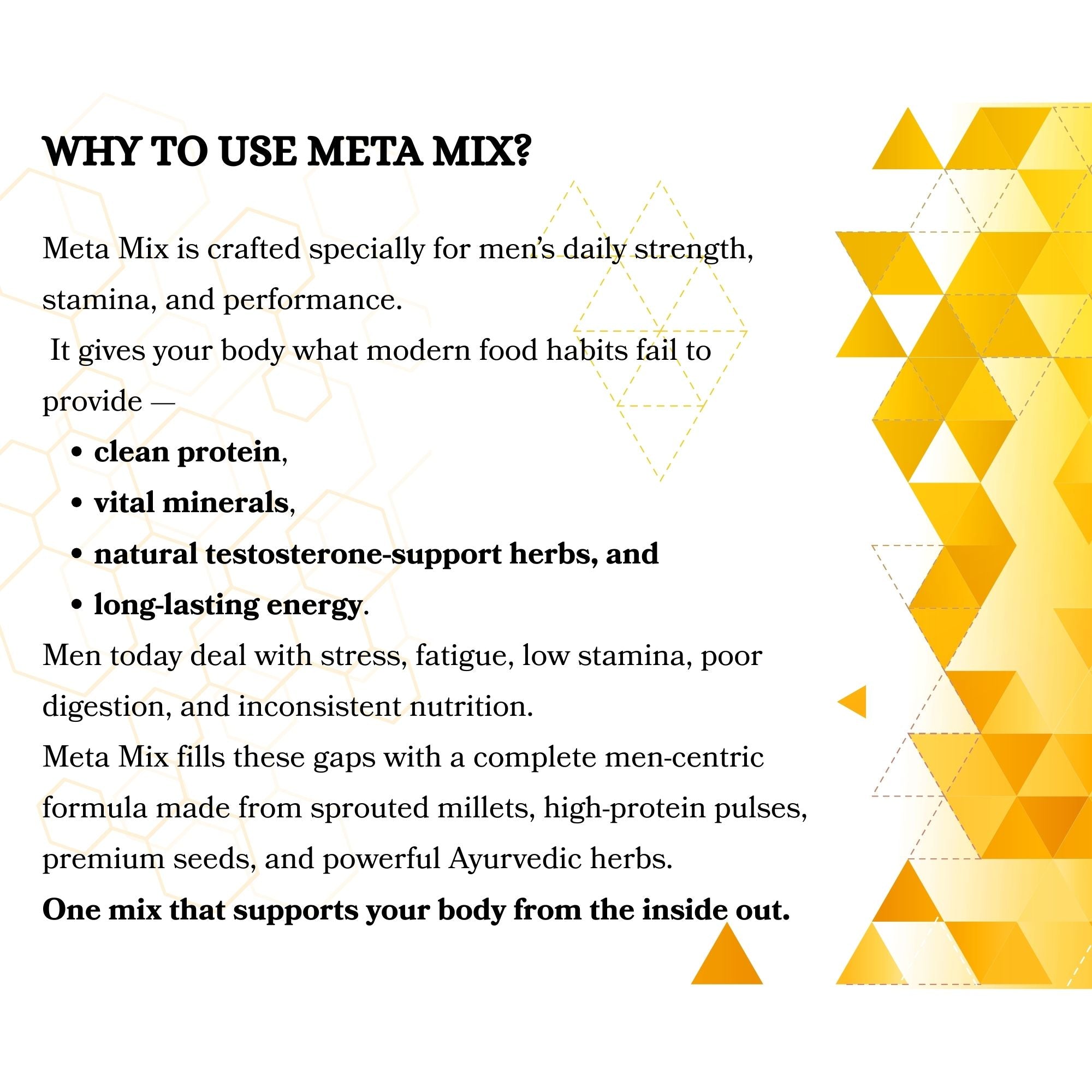 Meta Mix – Elite Nutrition for Men