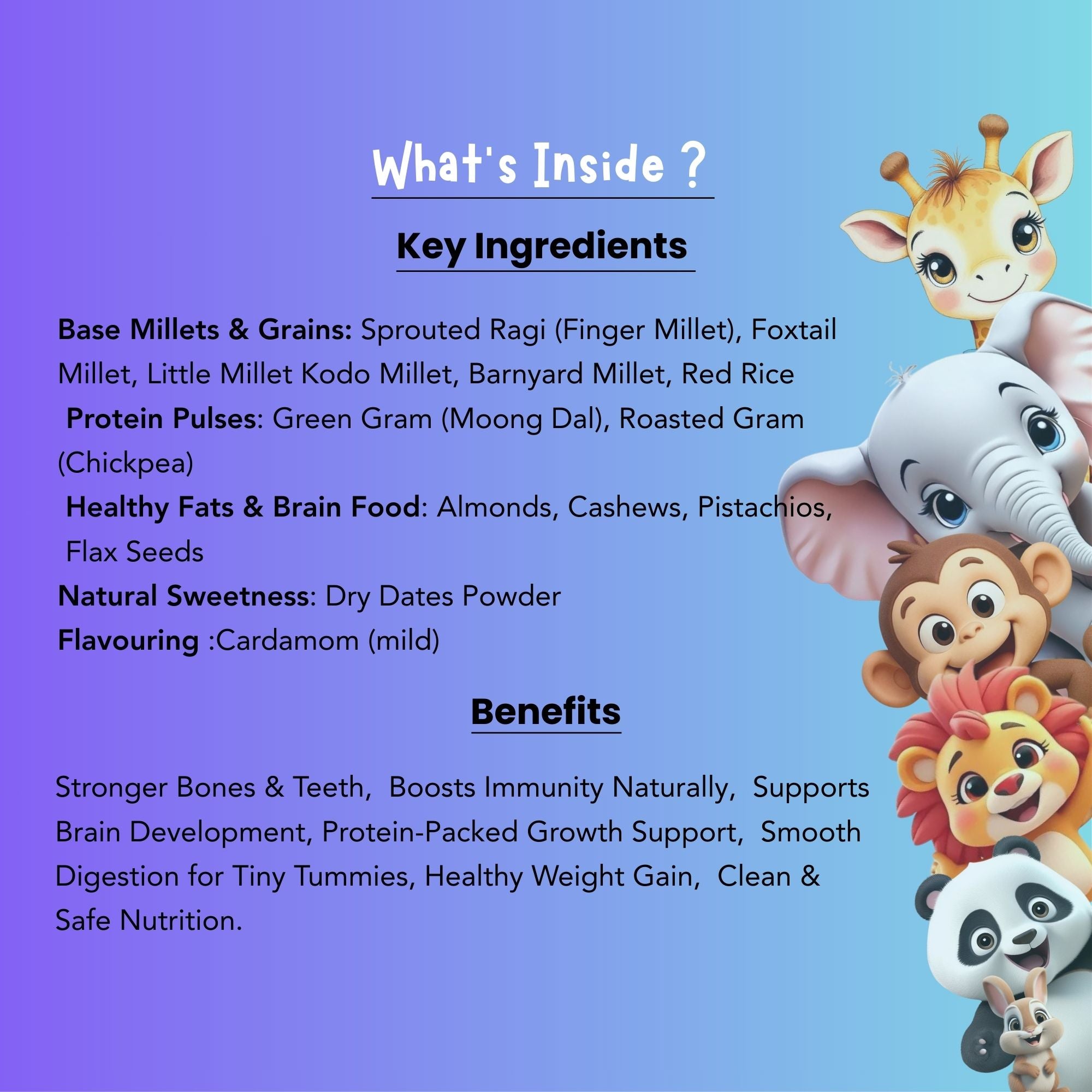 Tiny Tummy – Child Nutrition Mix